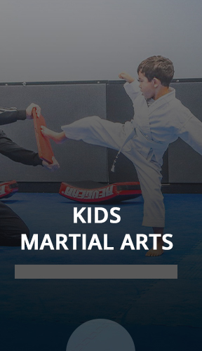 Kids Martial Arts Program in Fairfax, VA close to Old Town Fairfax, Chantilly, Vienna, Fairfax, Great Falls, Providence Elementary School, Daniels Run Elementary School, Laurel Ridge Elementary School, Mosaic Elementary School, and the Mosaic District