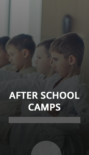 After School Academy and Camps offered by Martial Arts on the Go in Fairfax, VA close to Old Town Fairfax, Chantilly, Vienna, Fairfax, Great Falls, Providence Elementary School, Daniels Run Elementary School, Laurel Ridge Elementary School, Mosaic Elementary School, and the Mosaic District